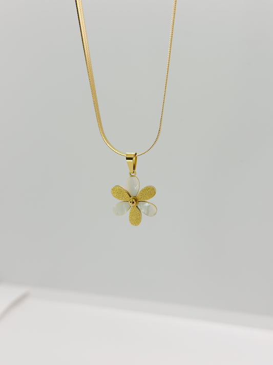 Collier Doria